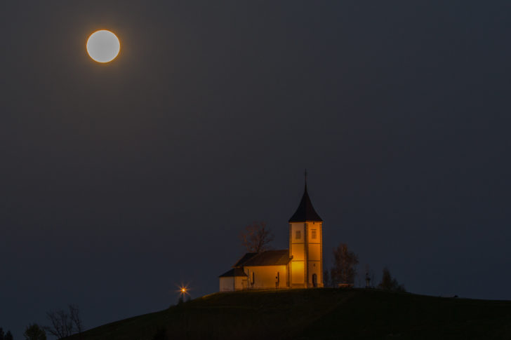 [Dušan Podrekar] Jamnik