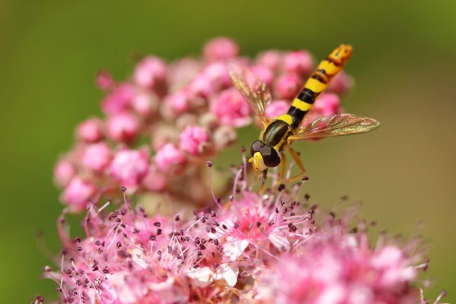 Slika meseca septembra 2025